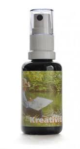 Phytodor Kreativitäts Spray 30ml