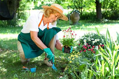 Effektive Mikroorganismen (EM) sind wahre Alleskönner.